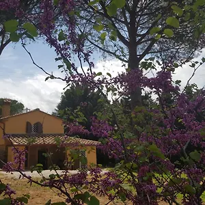  Villa Il Montedoro